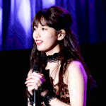 수지 팬<b>미팅</b>
