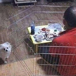 [모두드루와] <b>체념</b>하신 아버지