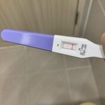 [19] 임테기가 이상하게나온것같아