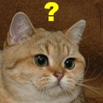 [꼭조언부탁] <어처구니 없는 성차별적 헌재 <b>판례</b>들>