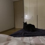 [댓글부탁해] <b>자살</b>하고 싶은 생각 어떻게 지우는지 아는 사람있어...