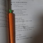 수특 푸는데 <b>이</b> <b>시</b> 너무 좋지않냐