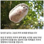 [드루와] 나도 아날로그 시대에 태어나고 싶다