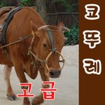 [댓글부탁해] 애들아 나  스무살되는데 옷<b>색들</b> 어때??