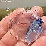 살면서 이런 거 본적 있니?