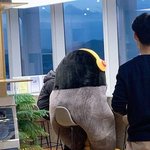 이게 <b>펭</b><b>수</b>라고????