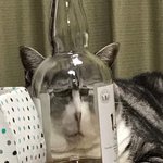 아놔 ㅋㅋㅋㅋㅋㅋ이게뭐<b>임</b>