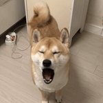 [모두드루와] 가짜 <b>하품</b>이래