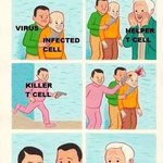 [모두드루와] 인체가 지금까지 터득한 가장 효과적인 면역체계