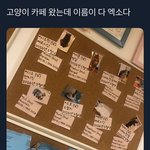 [댓글부탁해] 이거 뭐임?ㅋㅋㅋㅋㅋㅋ