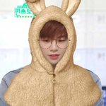 [강다니엘] ㄱㅇㅇ