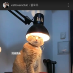 [댓글부탁해] 따뜻한 <b>전구</b>모자