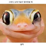 [댓글부탁해] 친구로서 <b>거절</b>잘하는 성격 싫어?