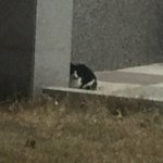 [댓글부탁해] 급식2