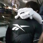 [댓글부탁해] 연예인한테 <b>디엠</b>보내면