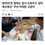 `한의사`로 일하는 집사 도와주고 싶어 쿠션 <b>자처</b>한 고양이