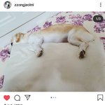 [모두드루와] <b>절미</b>언니 충격고백 사실은 <b>절미</b>..