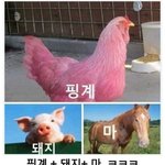 [드루와] 내 머리속의 지우개 개슬프다