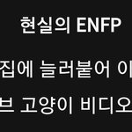 새벽감성 ㅈㄴ 무서운듯