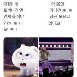 02년생들아 우리학교같은곳 있움??