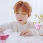 [강다니엘] 컬러온서울 강다니엘 <b>포스트</b>카드 Aver.2