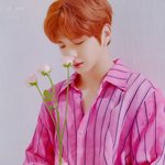 [강다니엘] 컬러온서울 강다니엘 <b>포스트</b>카드 Cver.1