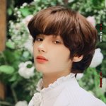 현<b>체내</b>는 고 1들 있냐 ㅜㅜㅜ도와줘