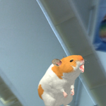 <b>아이큐</b>성형외과어따