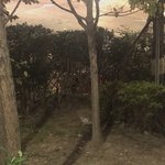 [드루와] 우리 고양이 자랑할래!!