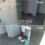 강아지야 행복해 ㅠㅠㅠㅠ