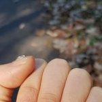 [댓글부탁해] 홀서빙<b>알</b>바하는데 <b>이</b>정도 네일은 뭐라고 안하겠지?
