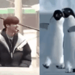 [강다니엘] 이번엔 <b>펭귄</b>이야ㅋㅋㅋㅋㅋㅋㅋ