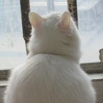 [19] 이거 <b>두줄</b> 아니라고 해줘....