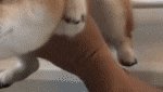 이건 어느 <b>부위</b>일까?ㅋㅋㅋㅋ