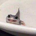 아 이것좀 섬뜩하다...