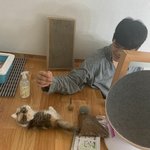 [댓글부탁해] 빈첸 이거 남친짤 오지네