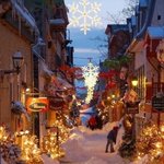 [댓글부탁해] 키 150 <b>미만</b>인 발달장애 여성들에게 정부는 보조다리를...