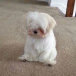 아니 얘들아 그 <b>단어</b> 뭐라그러냐