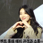 [꼭봐주세요] <b>배수지</b> 백두산 레드카펫 넘 예쁘다