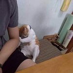 [모두드루와] <b>내발</b>!!!!!!!!
