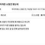 [모두드루와] 입마개한 <b>소형</b>견