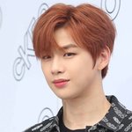 <b>법률</b>대리인"'프듀2' 갤러리 폐쇄 신청..악플 등 법적대응"