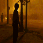 영화 택시운전사에서 가슴 졸이며 본 장면.<b>gif</b>