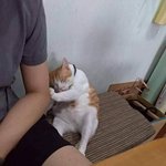 [모두드루와] 야야야 <b>발발</b>발밟발