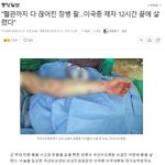 ㄷ __ <b>이국종</b>라인은 진짜 미쳤구나