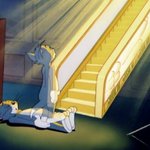 [댓글부탁해] 살다보니 <b>첨보</b>는사람 째리고 오는 날이 다 오네