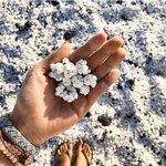 팝콘각이네ㅋㅋㅋ탈퇴한대