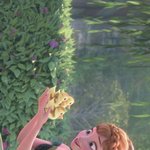 [ㅈㄱㄴ] 양성애자인데 꿈에서 여자랑 <b>썸탐</b>