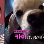 [댓글부탁해] 카이가 알면 얼마나 소름돋을까