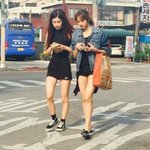 로제 8<b>등신</b>